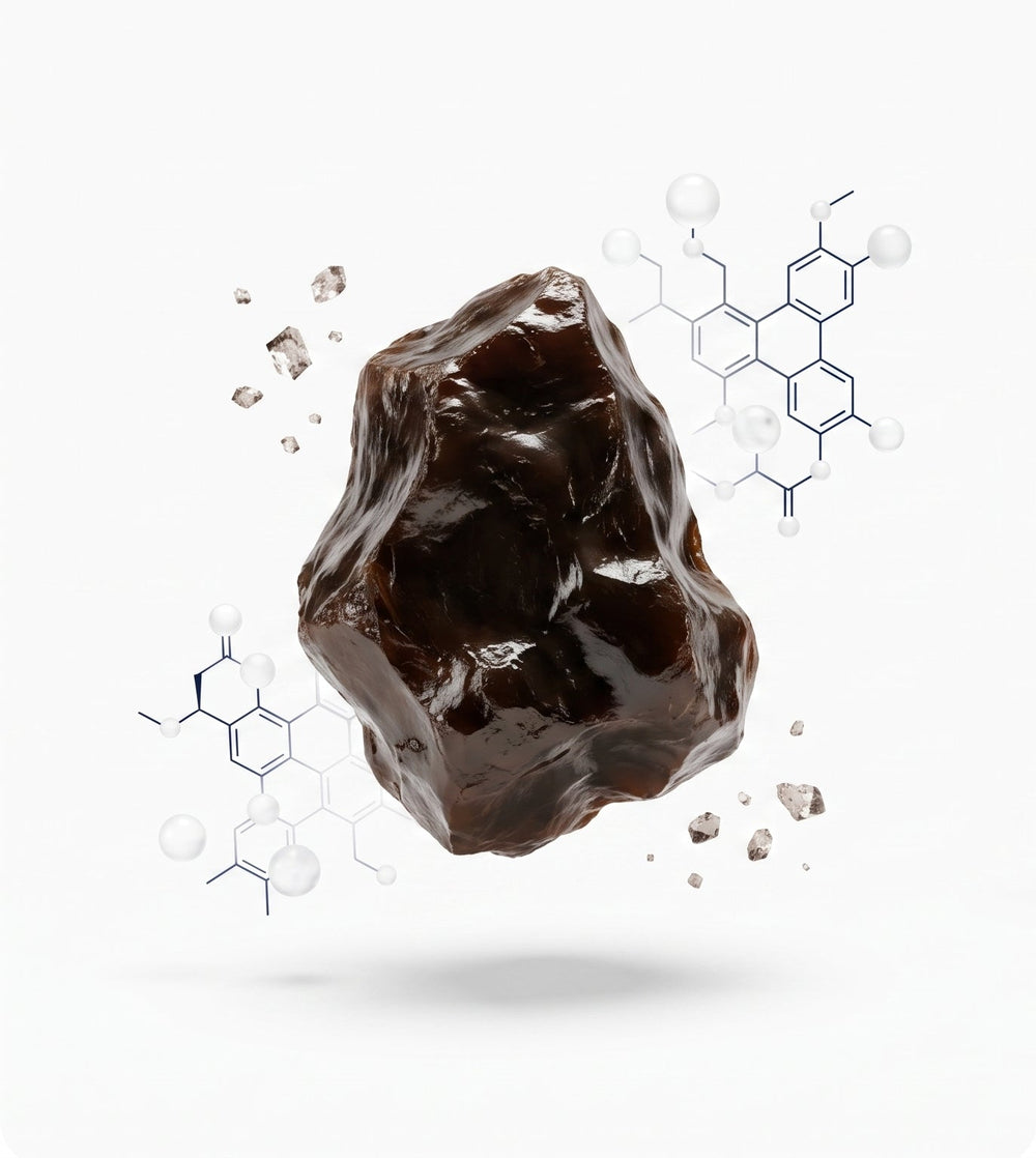 Promotional graphic for a Shliajit supplement showing a dark brown glossy rock-like capsule on the left and marketing text on the right about what's inside, including 150mg Shliajit Extract, thoughtful formulation, quality ingredients, and delicious daily gummies.