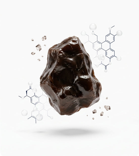Promotional graphic for a Shliajit supplement showing a dark brown glossy rock-like capsule on the left and marketing text on the right about what's inside, including 150mg Shliajit Extract, thoughtful formulation, quality ingredients, and delicious daily gummies.