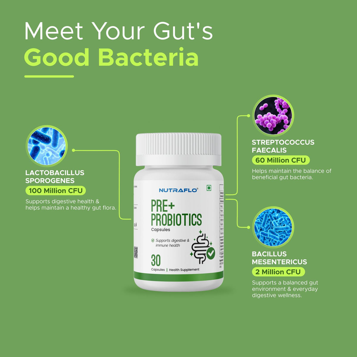 Pre + Probiotic Capsules – image 4